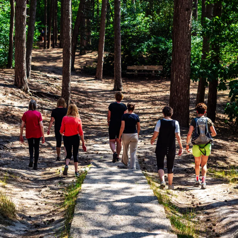 Groep wandelaars loopt samen over een bospad tijdens een buitentraining van Fitcoach Wilma