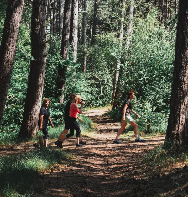 Groep wandelt actief door bos over een zonnig pad, passend bij de actieve leefstijl van fitcoach Wilma